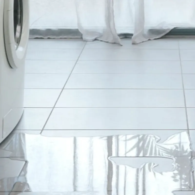 Appliance Leak Cleanup in Mariposa, CA